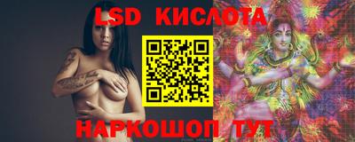 кокс Кингисепп