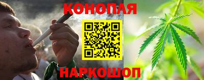 кокс Кингисепп