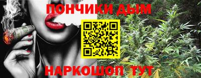 кокс Кингисепп