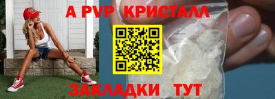 кокс Кингисепп