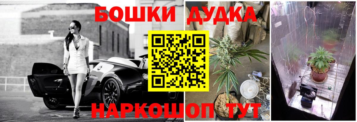 Каннабис планчик Когалым